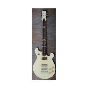 Tregan Shaman Standard electric guitar