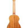 Kala Ubass Nomad FS acoustic/electric bass ukulele - Image 3