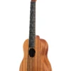 Kala Ubass Nomad FS acoustic/electric bass ukulele - Image 4